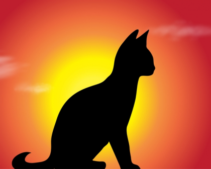 EarthTalk: Options for a 'green' pet funeral There are environmentally friendly funerals for pets.